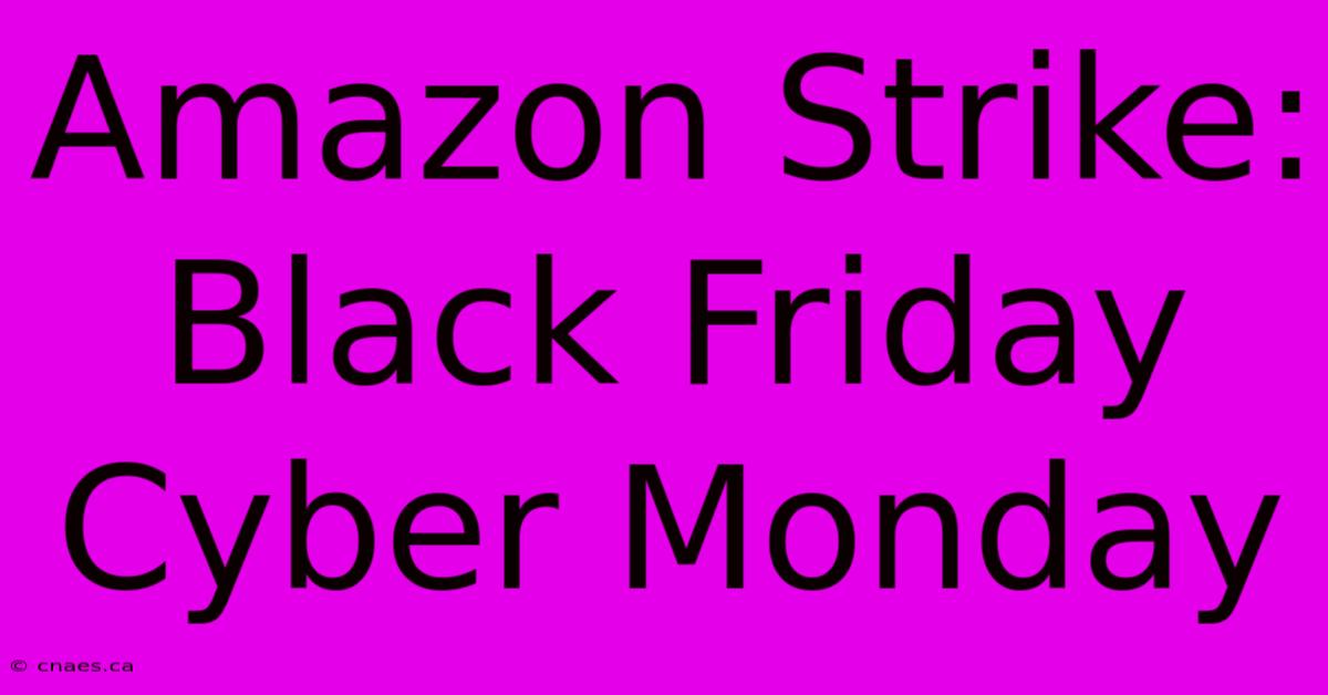 Amazon Strike: Black Friday Cyber Monday