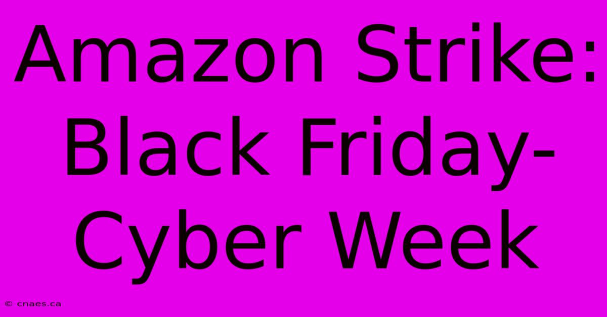 Amazon Strike: Black Friday-Cyber Week