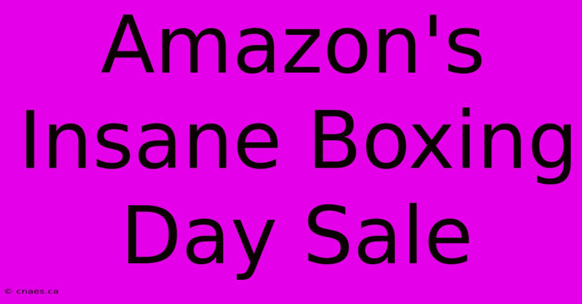 Amazon's Insane Boxing Day Sale