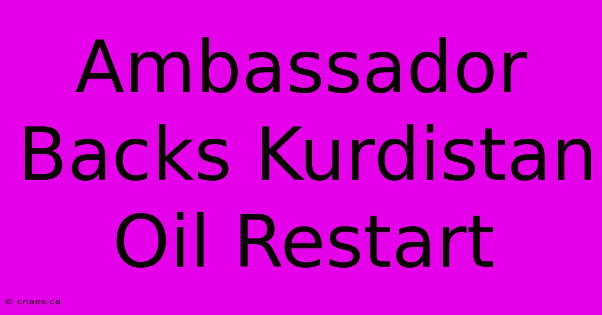 Ambassador Backs Kurdistan Oil Restart