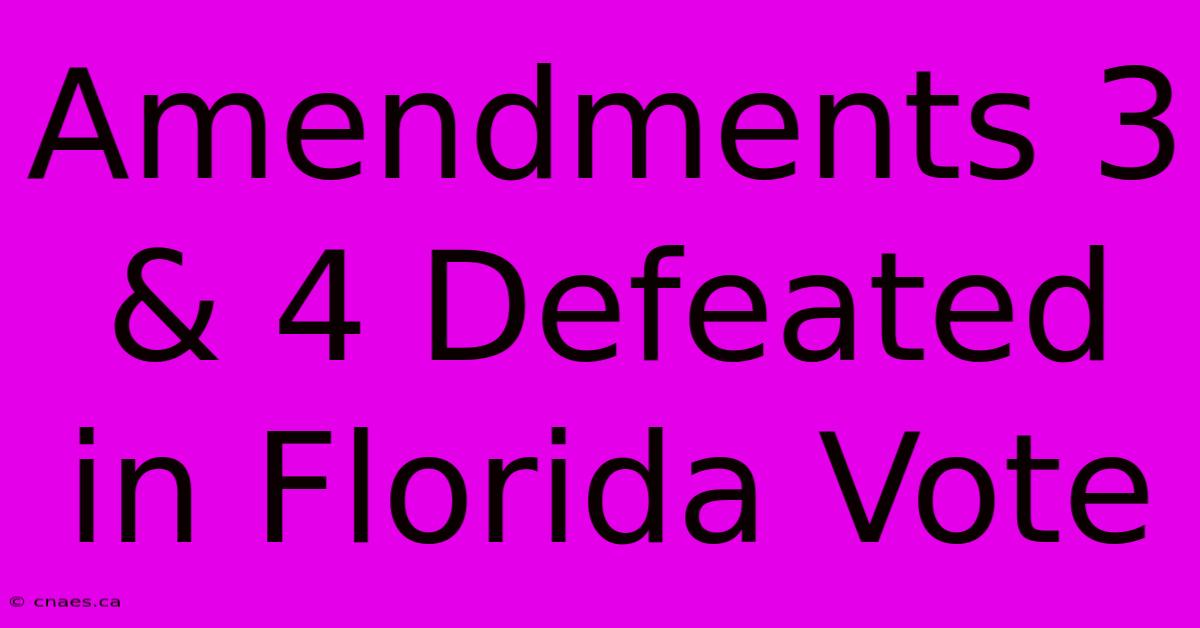 Amendments 3 & 4 Defeated In Florida Vote