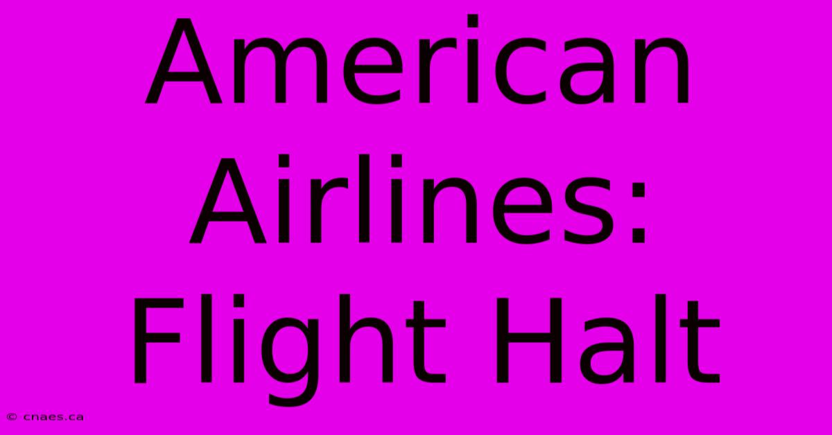 American Airlines: Flight Halt