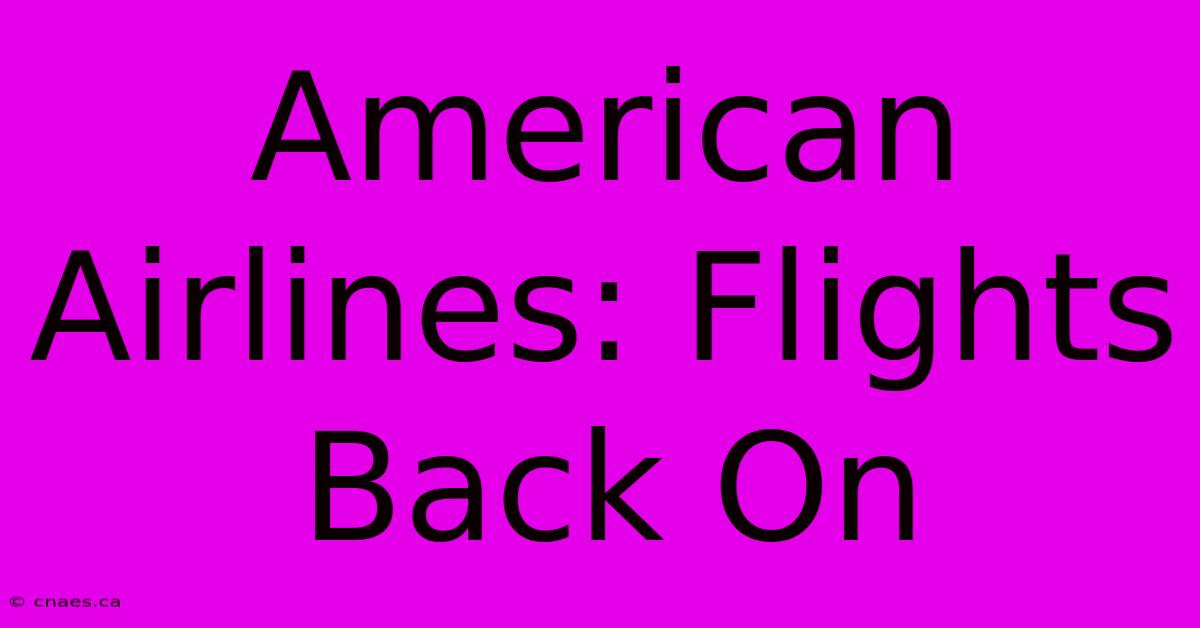 American Airlines: Flights Back On