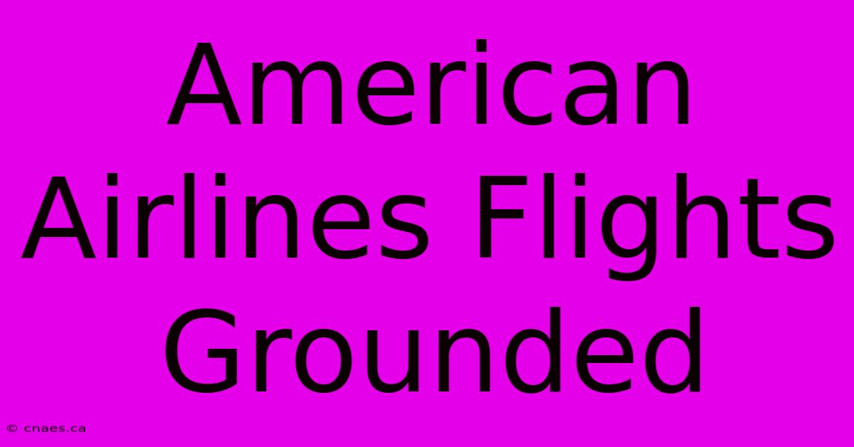 American Airlines Flights Grounded