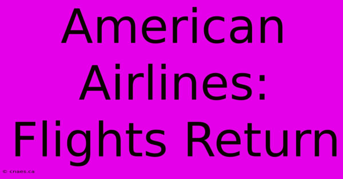 American Airlines: Flights Return