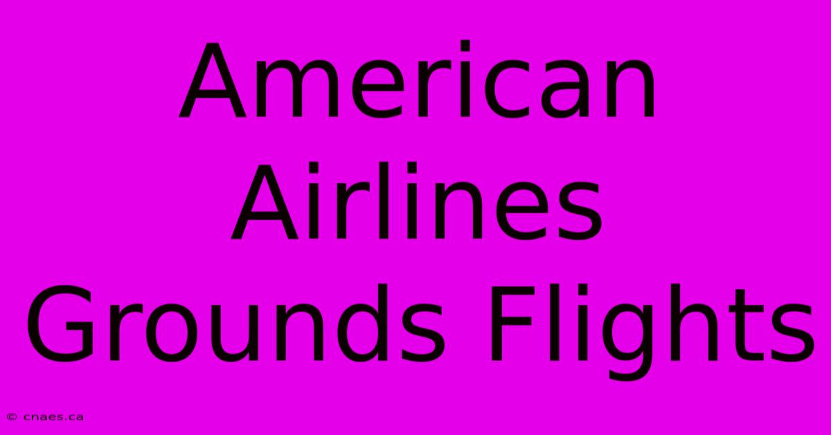 American Airlines Grounds Flights