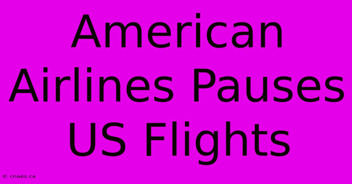 American Airlines Pauses US Flights