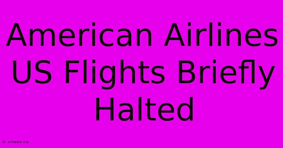 American Airlines US Flights Briefly Halted