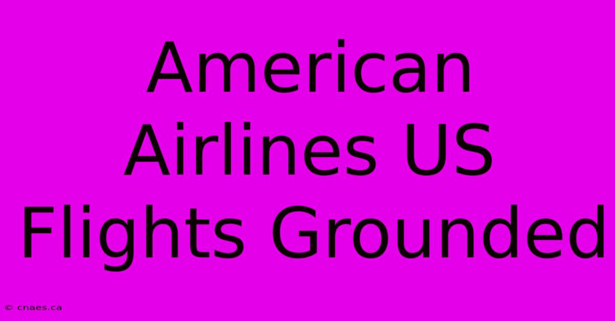 American Airlines US Flights Grounded