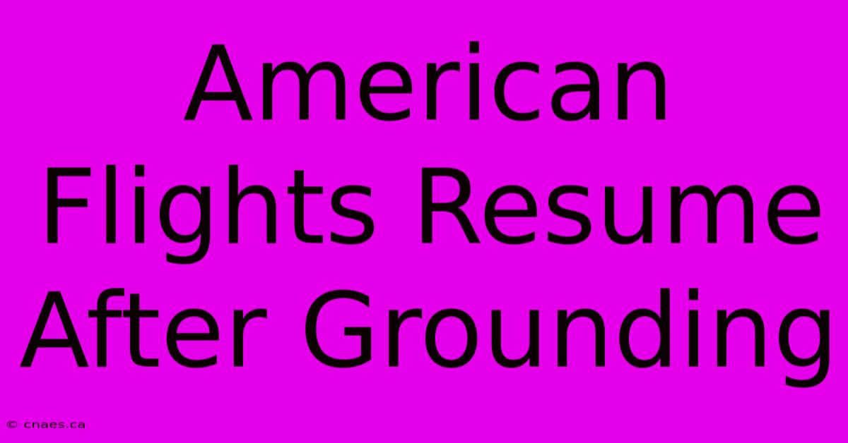 American Flights Resume After Grounding