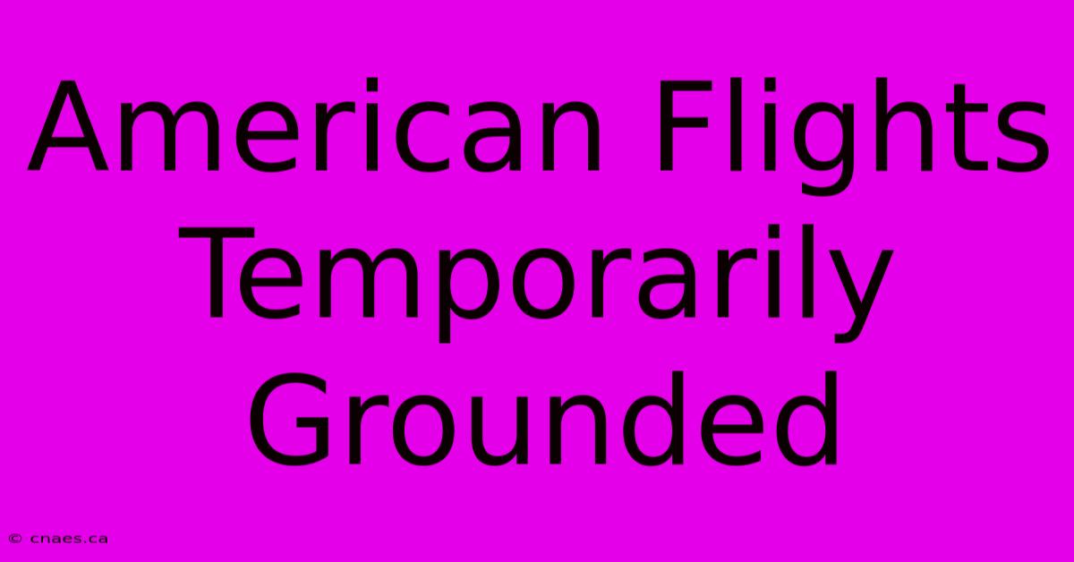 American Flights Temporarily Grounded