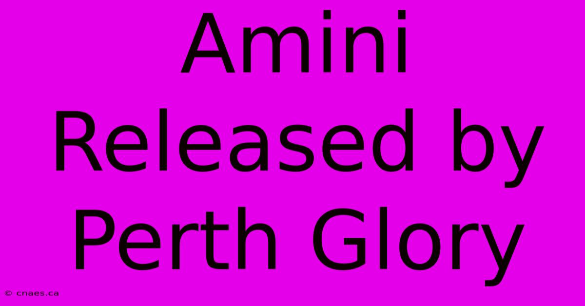 Amini Released By Perth Glory