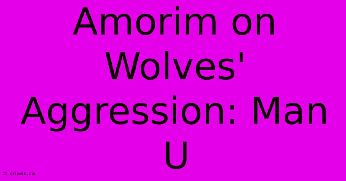 Amorim On Wolves' Aggression: Man U