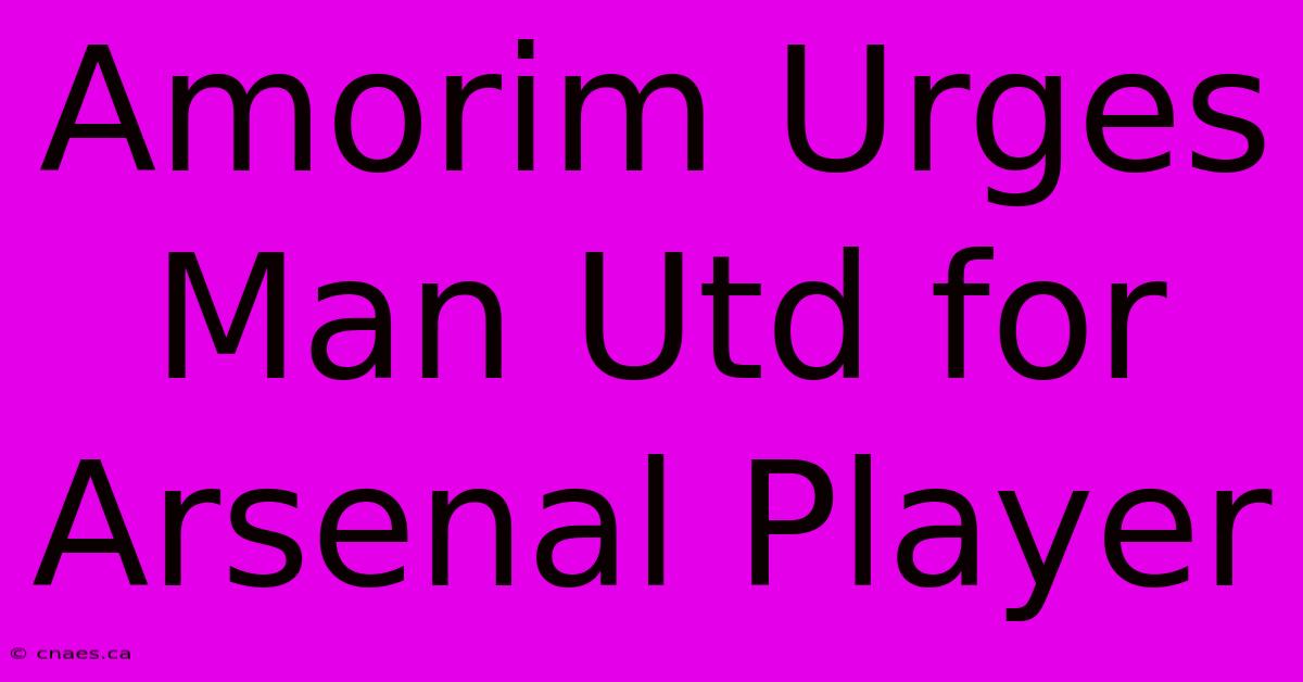 Amorim Urges Man Utd For Arsenal Player