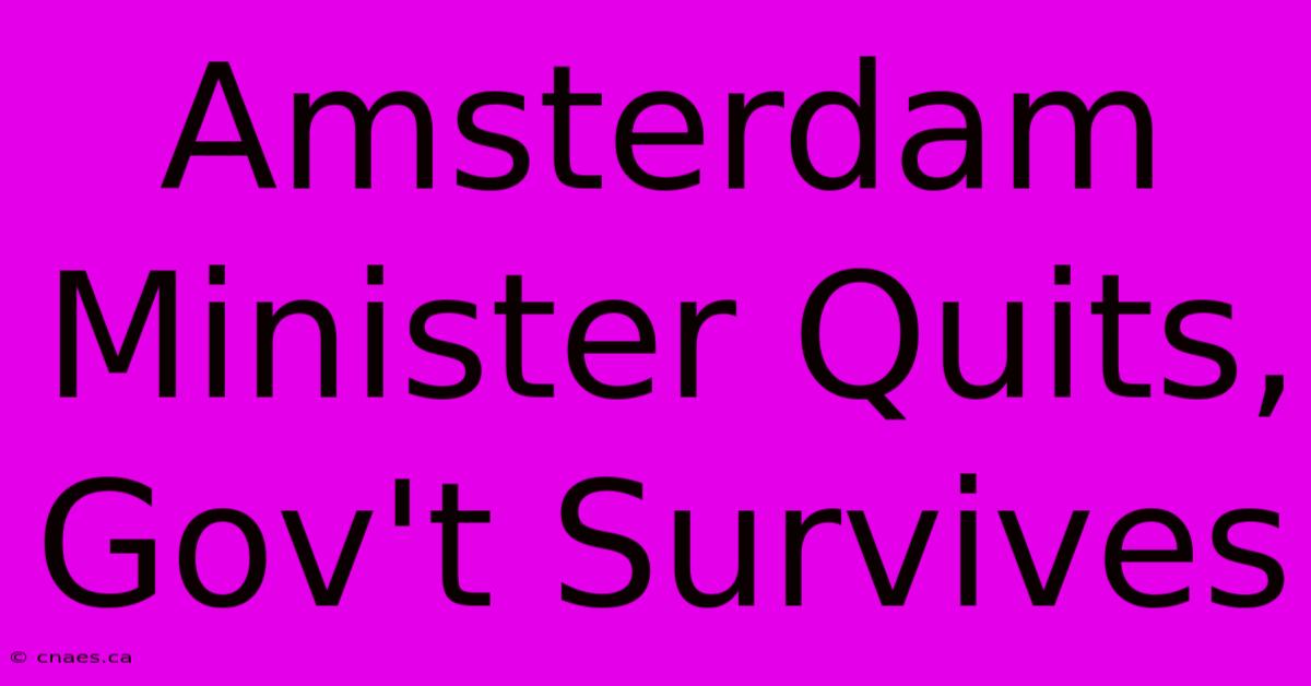 Amsterdam Minister Quits, Gov't Survives