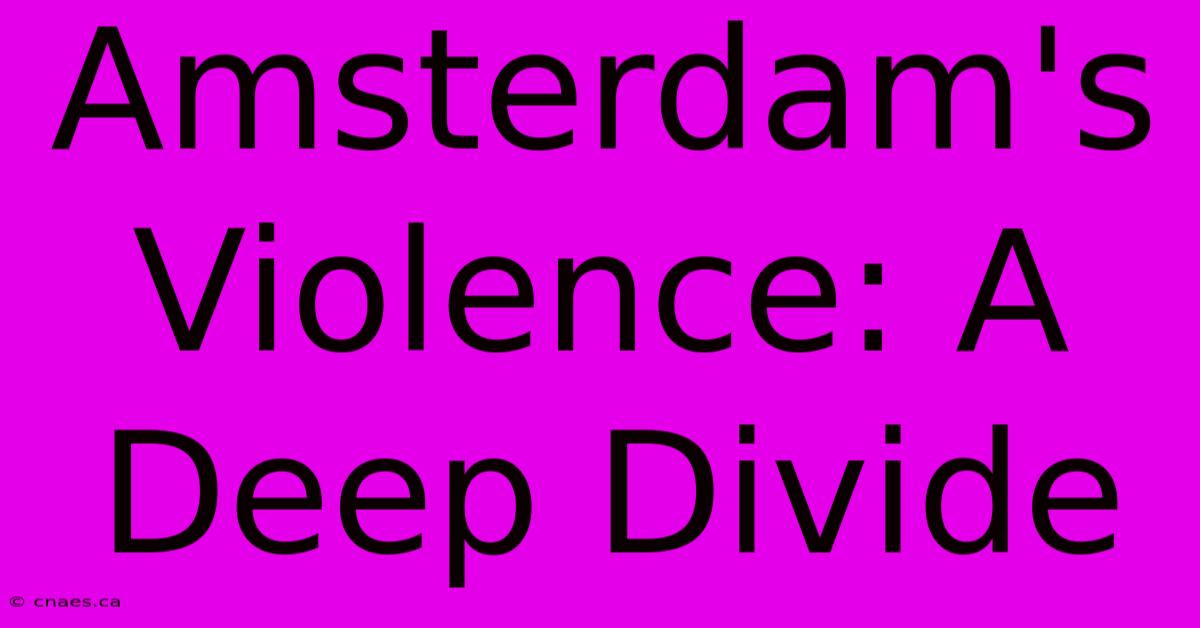 Amsterdam's Violence: A Deep Divide