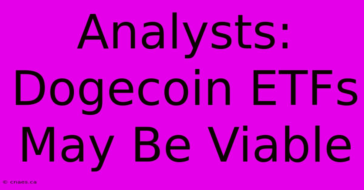 Analysts: Dogecoin ETFs May Be Viable