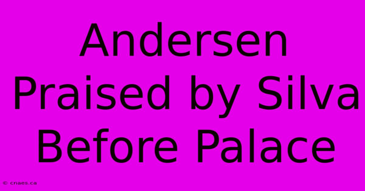 Andersen Praised By Silva Before Palace