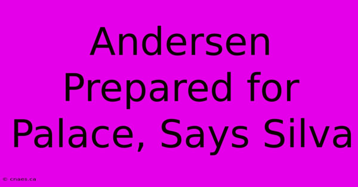 Andersen Prepared For Palace, Says Silva 