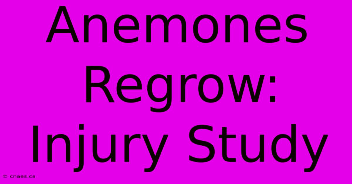 Anemones Regrow: Injury Study