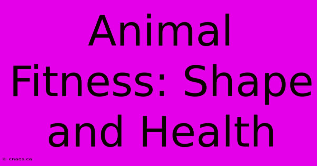 Animal Fitness: Shape And Health