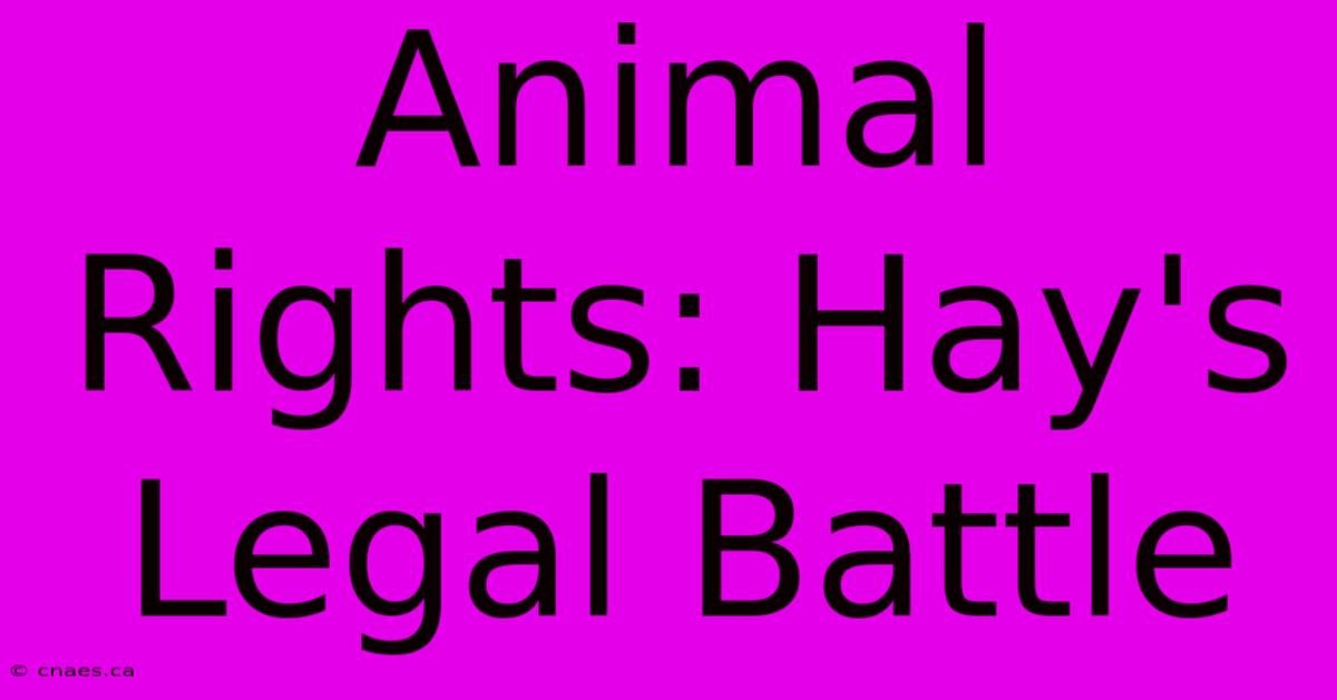 Animal Rights: Hay's Legal Battle