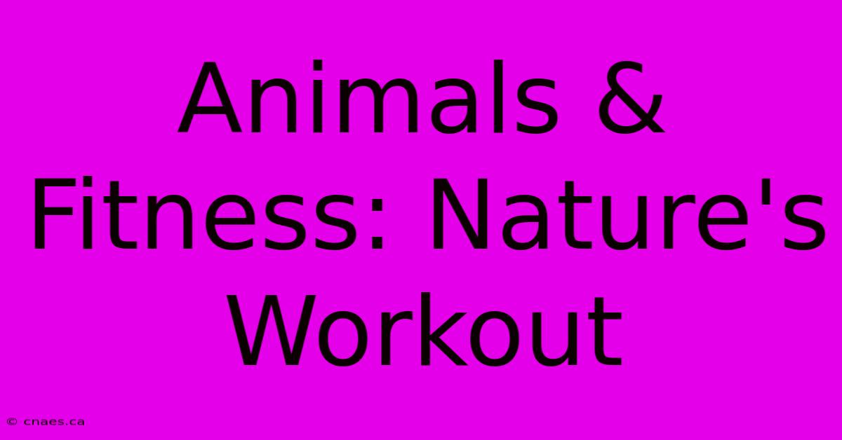 Animals & Fitness: Nature's Workout