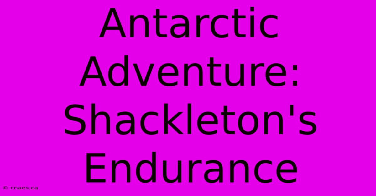 Antarctic Adventure: Shackleton's Endurance