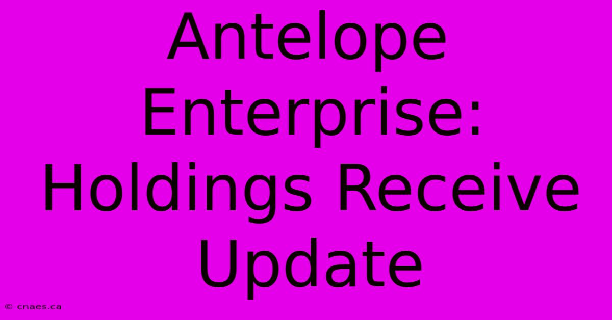 Antelope Enterprise: Holdings Receive Update