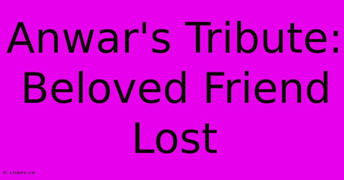 Anwar's Tribute: Beloved Friend Lost