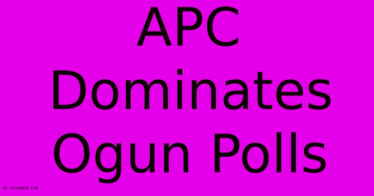 APC Dominates Ogun Polls