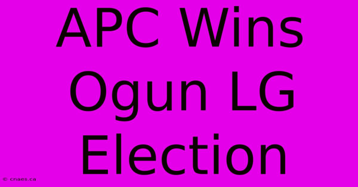 APC Wins Ogun LG Election