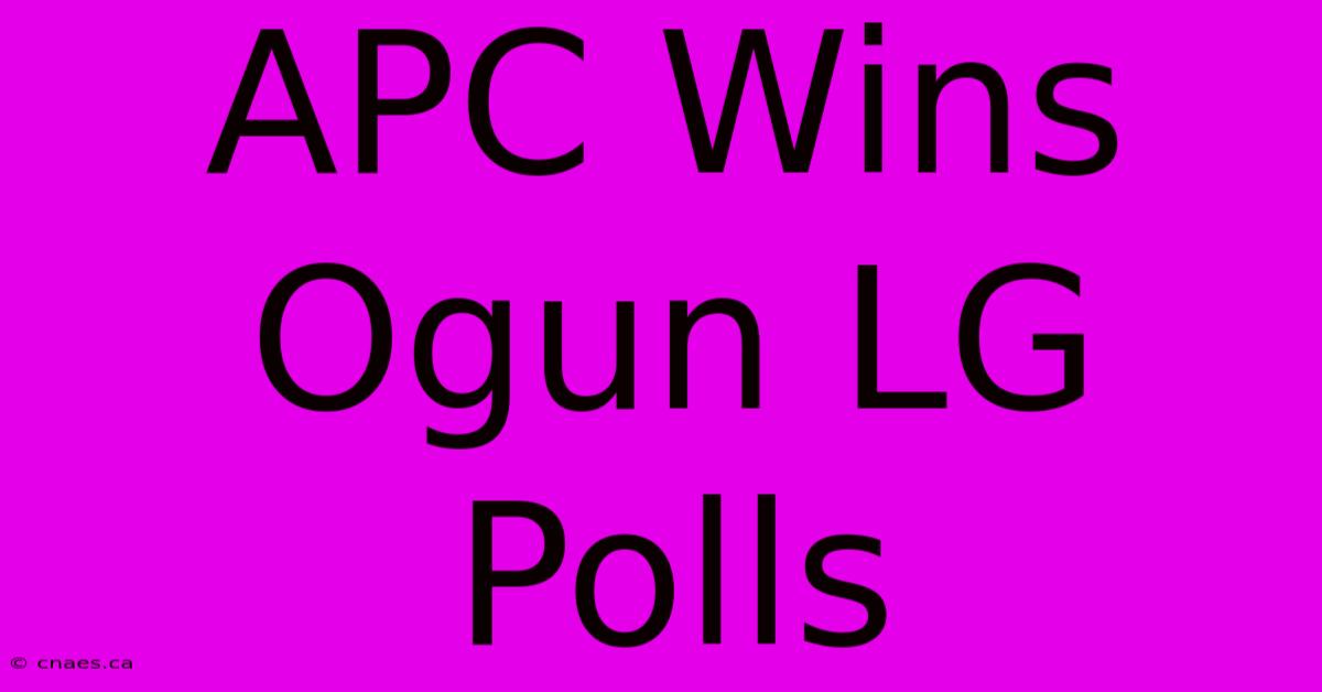 APC Wins Ogun LG Polls