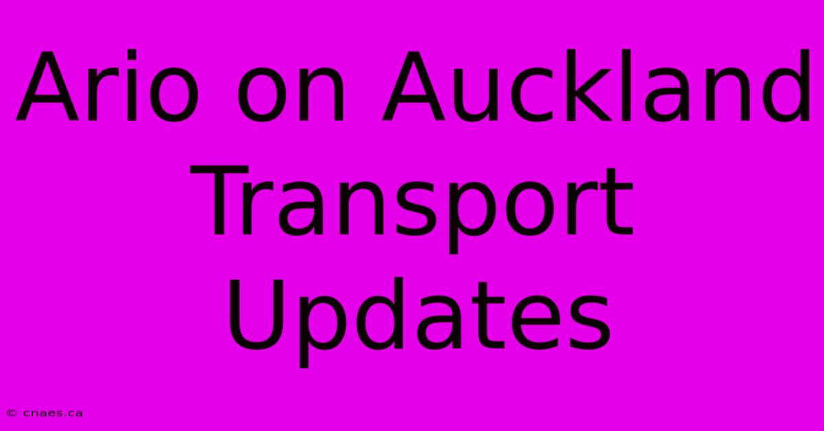 Ario On Auckland Transport Updates