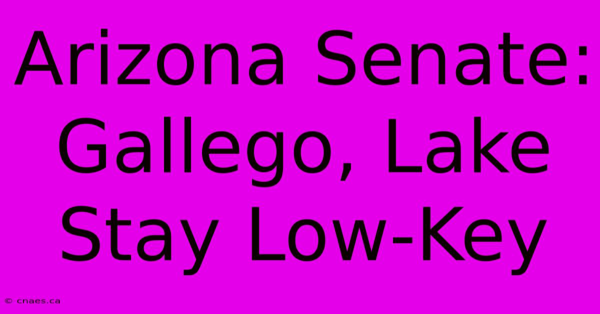 Arizona Senate: Gallego, Lake Stay Low-Key 