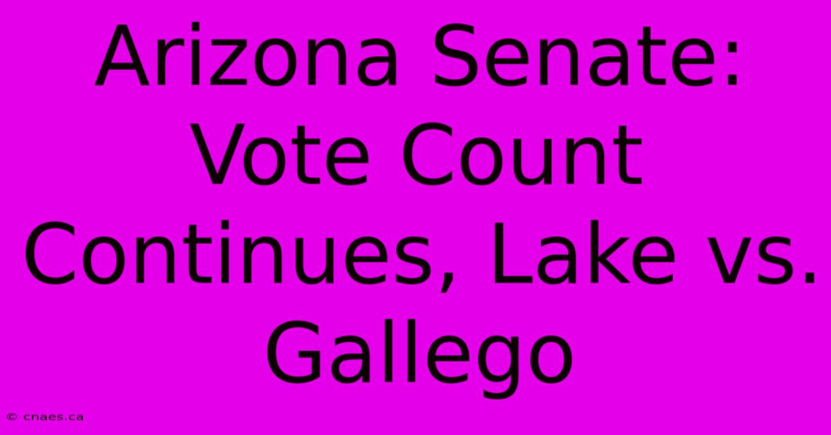 Arizona Senate: Vote Count Continues, Lake Vs. Gallego