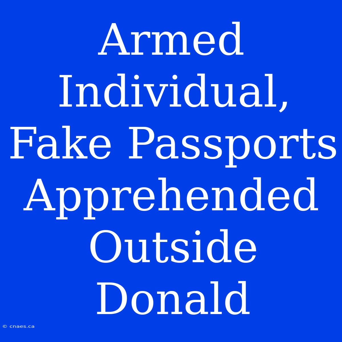 Armed Individual, Fake Passports Apprehended Outside Donald