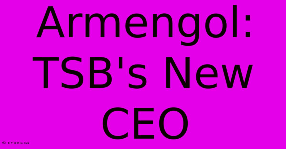 Armengol: TSB's New CEO