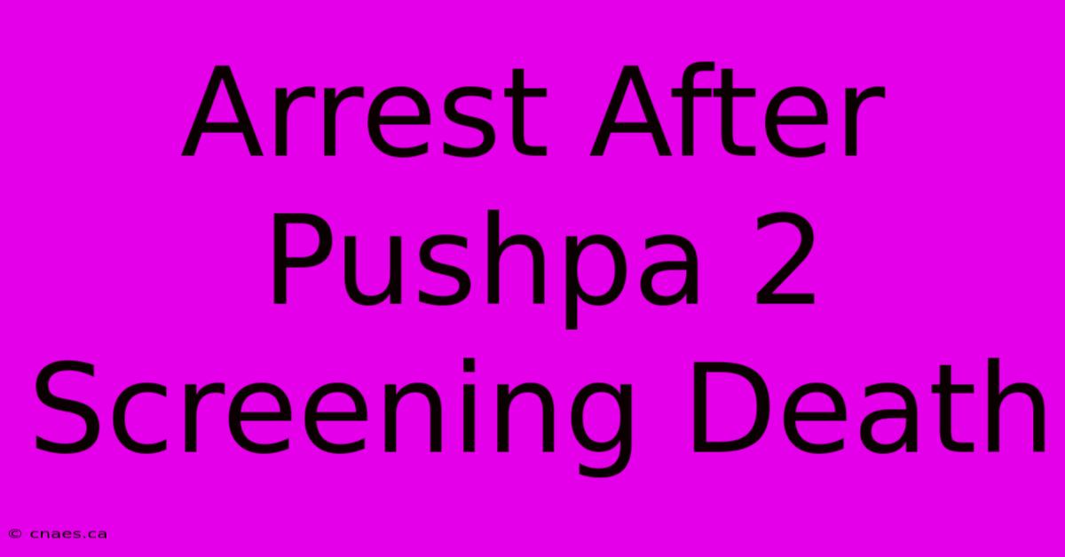 Arrest After Pushpa 2 Screening Death