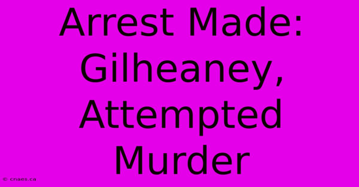 Arrest Made: Gilheaney, Attempted Murder