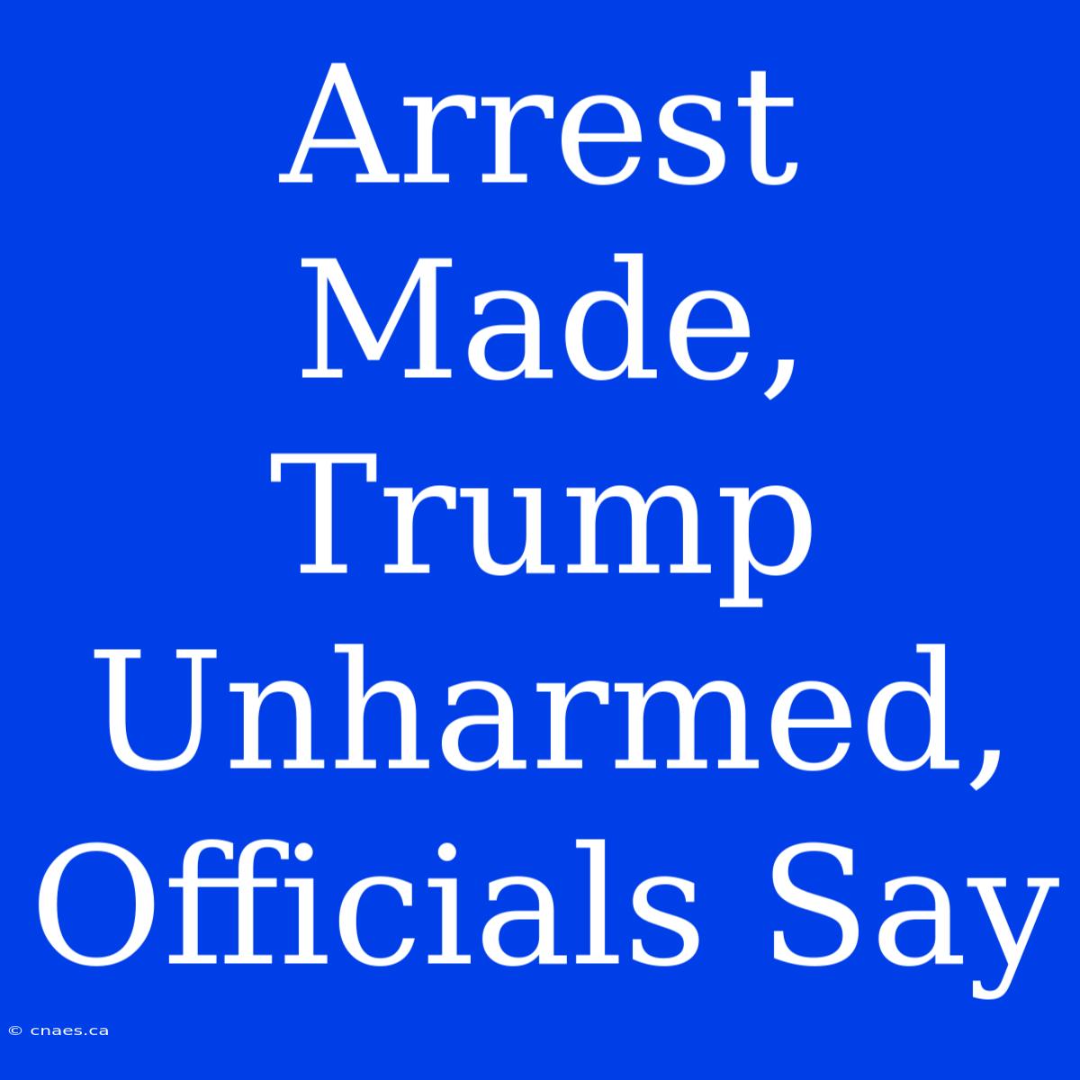 Arrest Made, Trump Unharmed, Officials Say