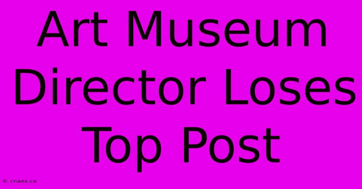 Art Museum Director Loses Top Post