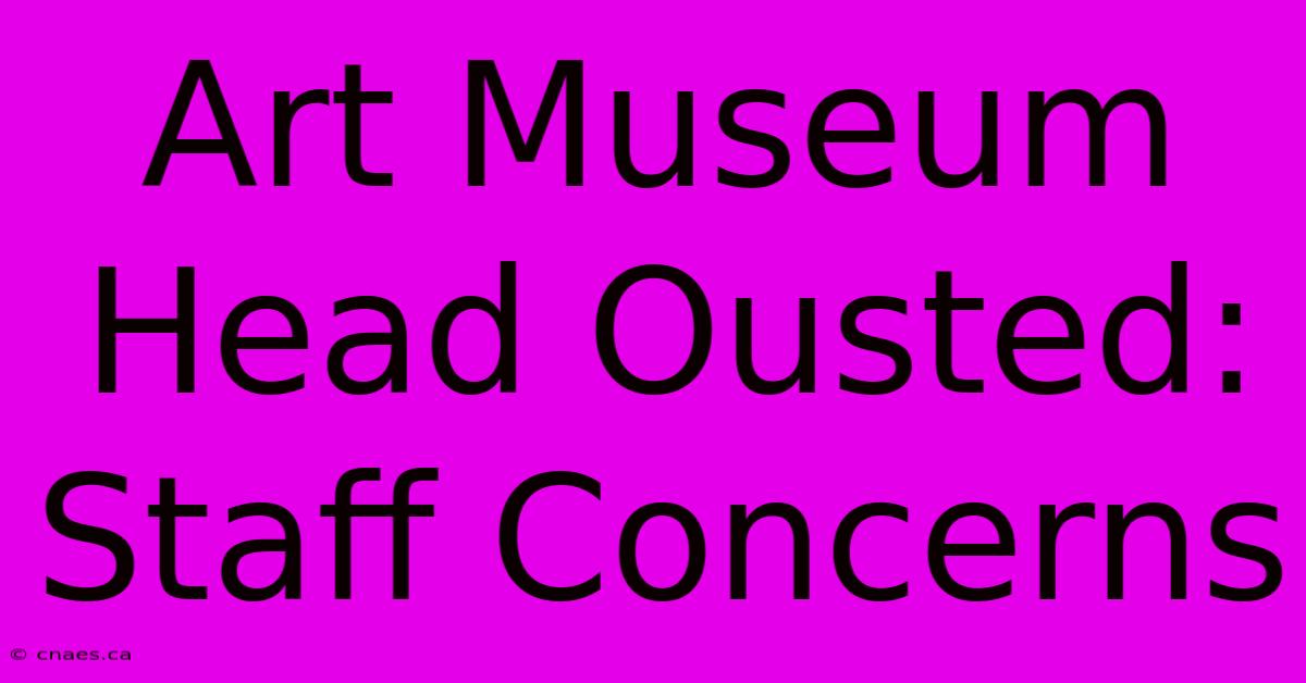 Art Museum Head Ousted: Staff Concerns