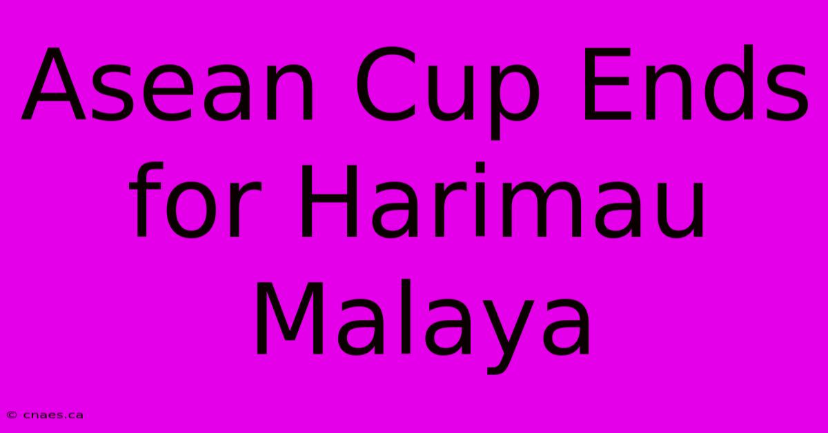 Asean Cup Ends For Harimau Malaya