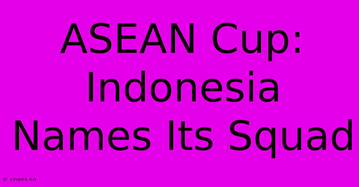 ASEAN Cup: Indonesia Names Its Squad