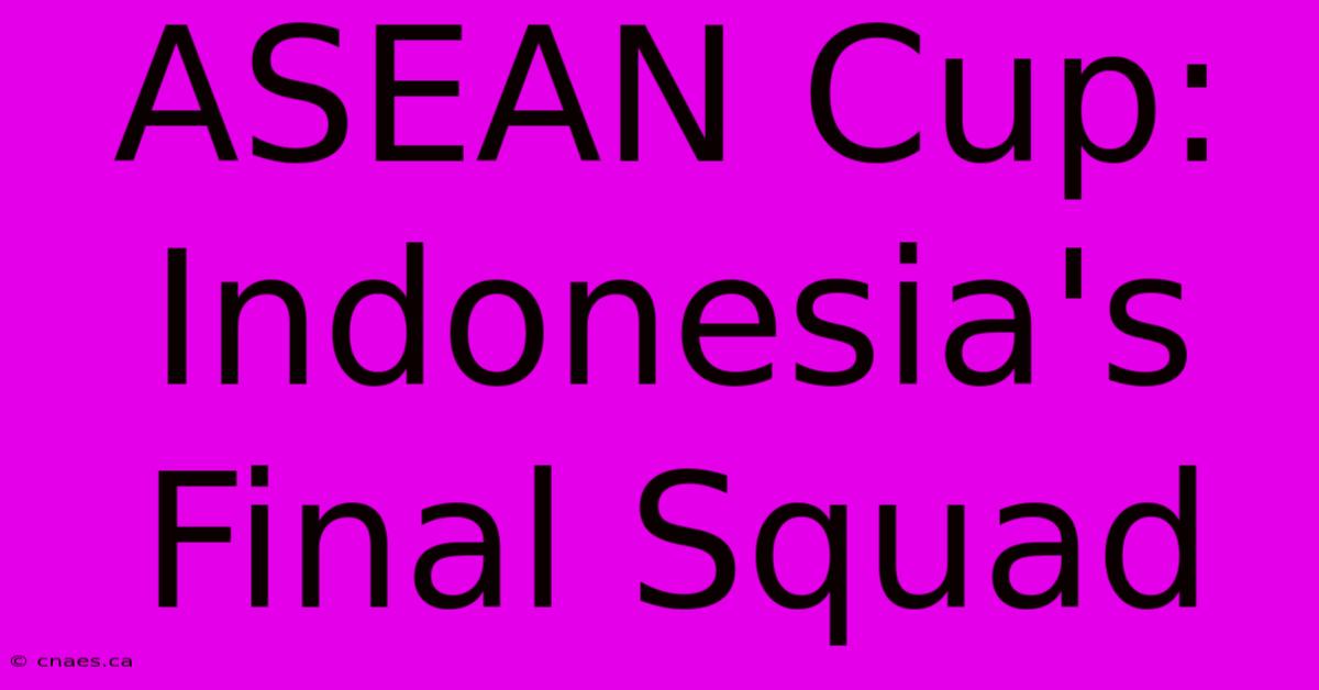 ASEAN Cup: Indonesia's Final Squad