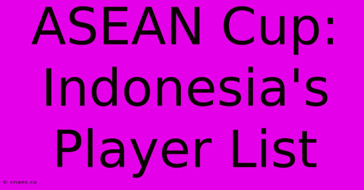 ASEAN Cup: Indonesia's Player List