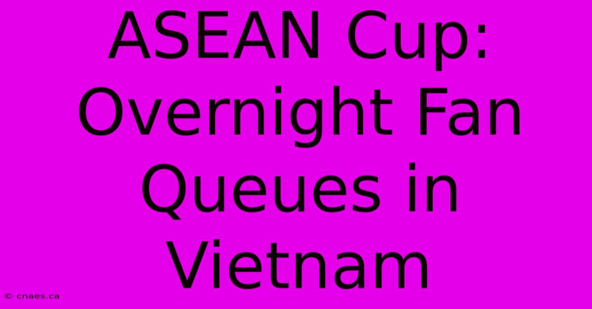 ASEAN Cup: Overnight Fan Queues In Vietnam