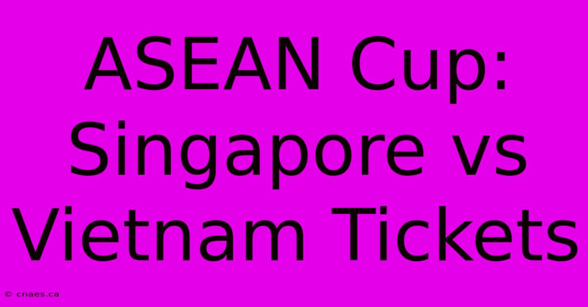 ASEAN Cup: Singapore Vs Vietnam Tickets