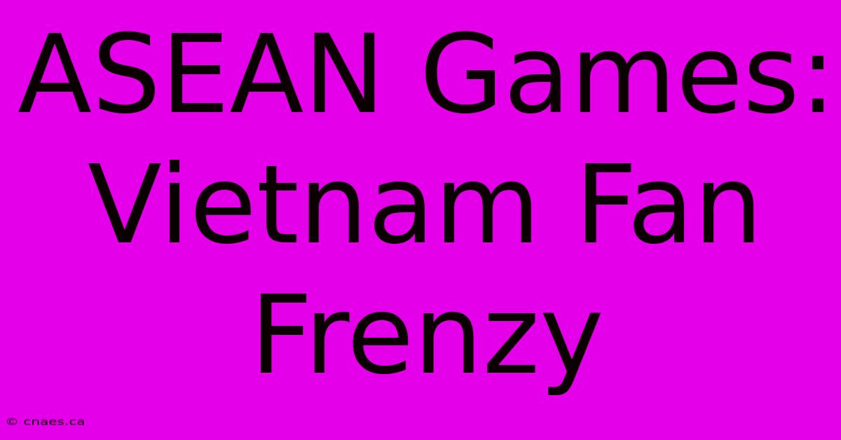 ASEAN Games: Vietnam Fan Frenzy